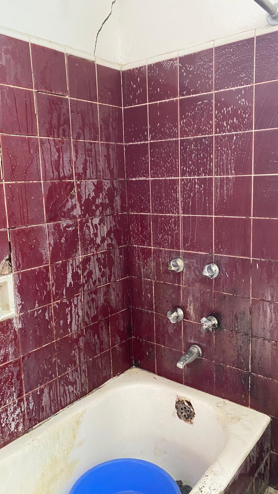 Baño antes de una limpieza profunda y recuperación